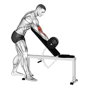 Curl De Bíceps Con Mancuerna Sentado En Banco Inclinado